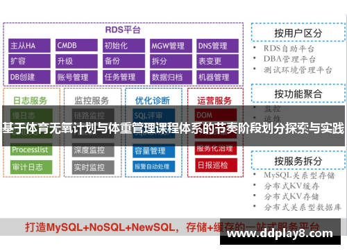 基于体育无氧计划与体重管理课程体系的节奏阶段划分探索与实践